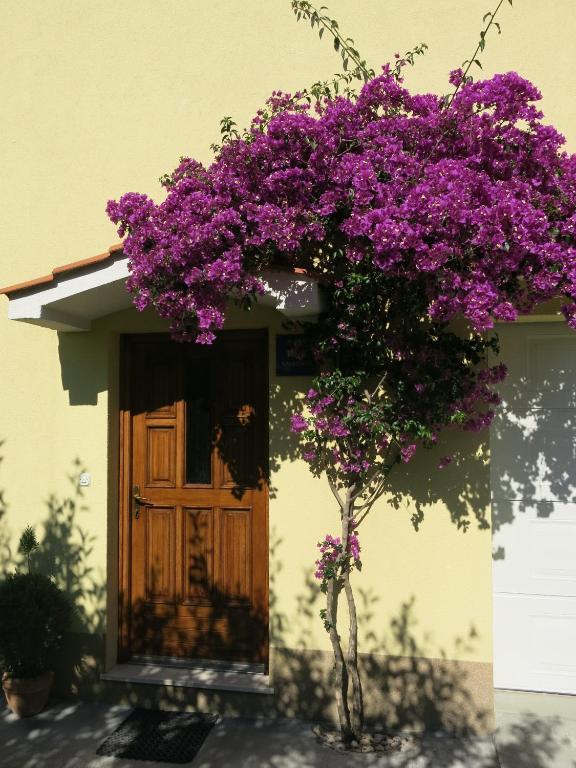 In Apartma Trogir