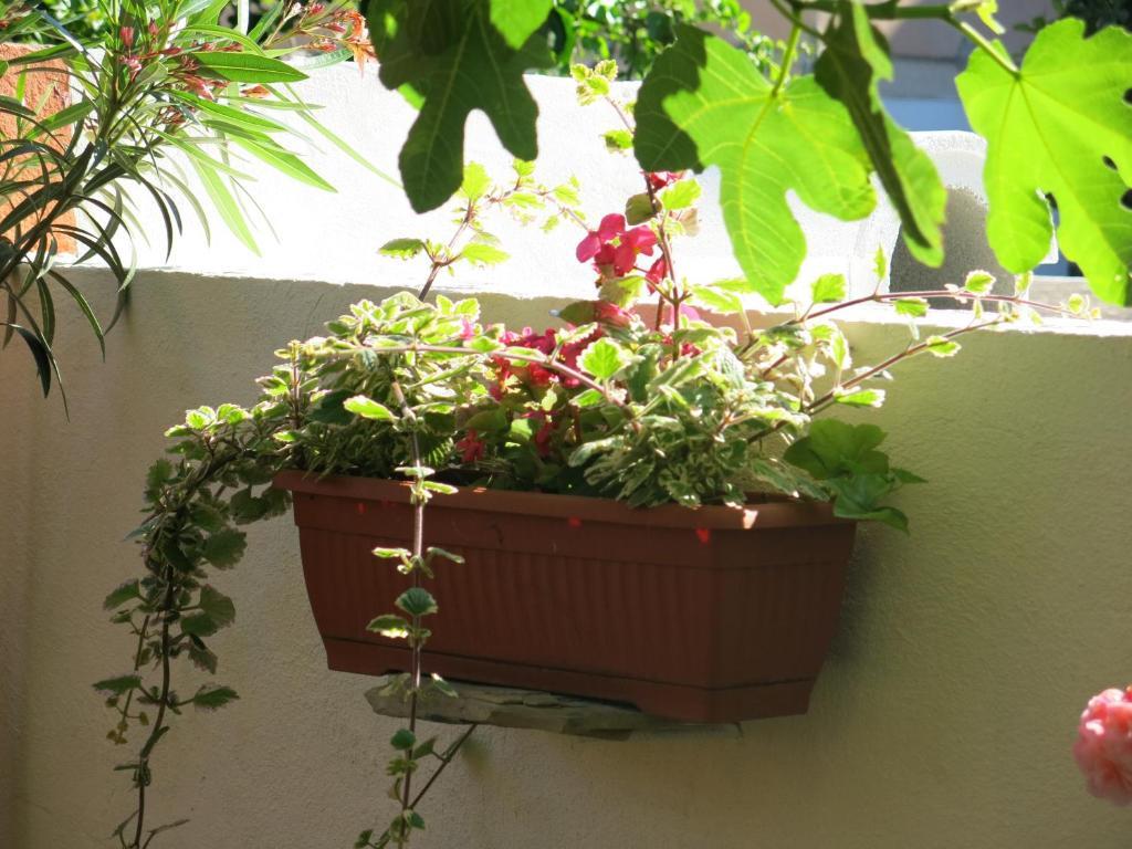 Apartma In Trogir